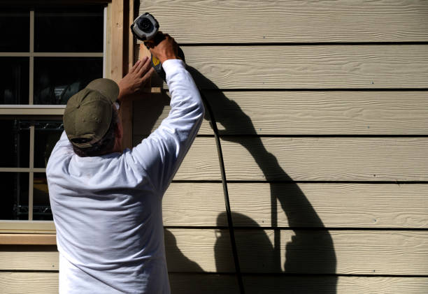 Best Stone Veneer Siding  in Pirtleville, AZ