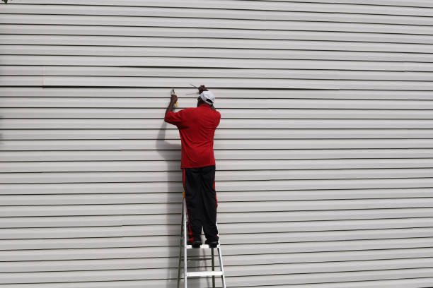Best Weatherproofing and Sealing  in Pirtleville, AZ