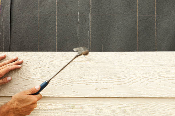 Best Insulated Siding Installation  in Pirtleville, AZ